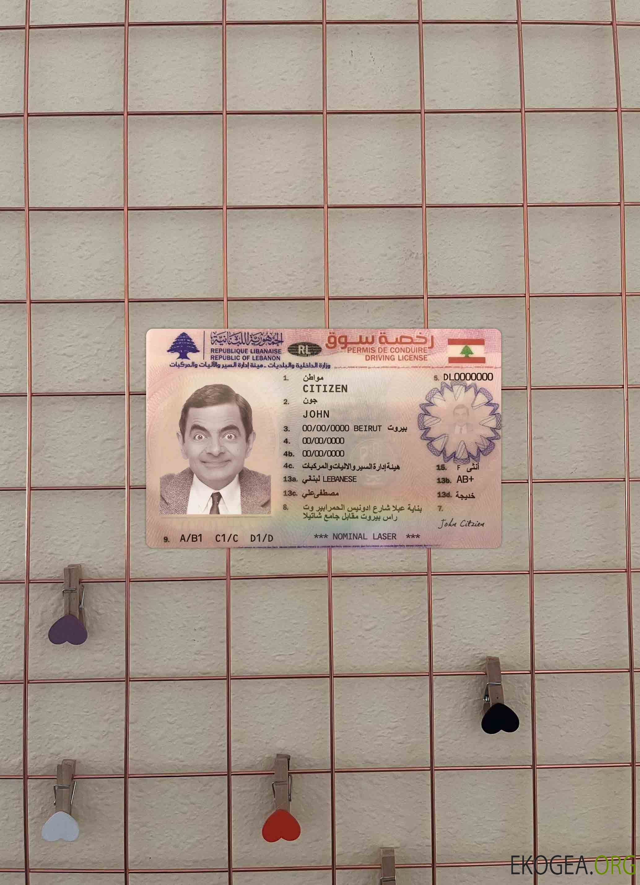 Permis de conduire Liban version 2 photolook DEVANT